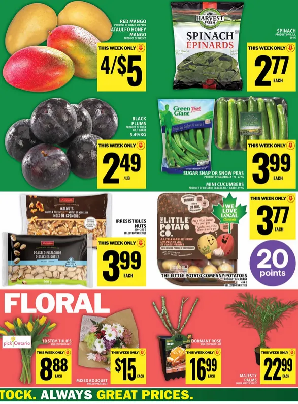  Food Basics Sales from April 23 to April 29 2026 - flyer page 12