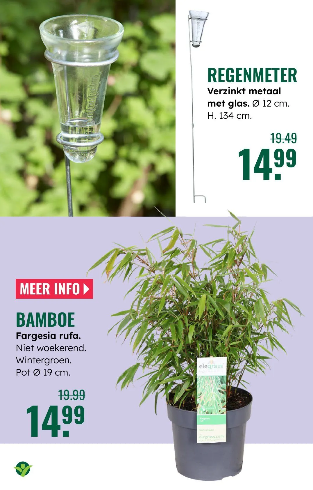 GroenRijk folders van 18 juni tot 24 juni 2026 - Folder pagina 12