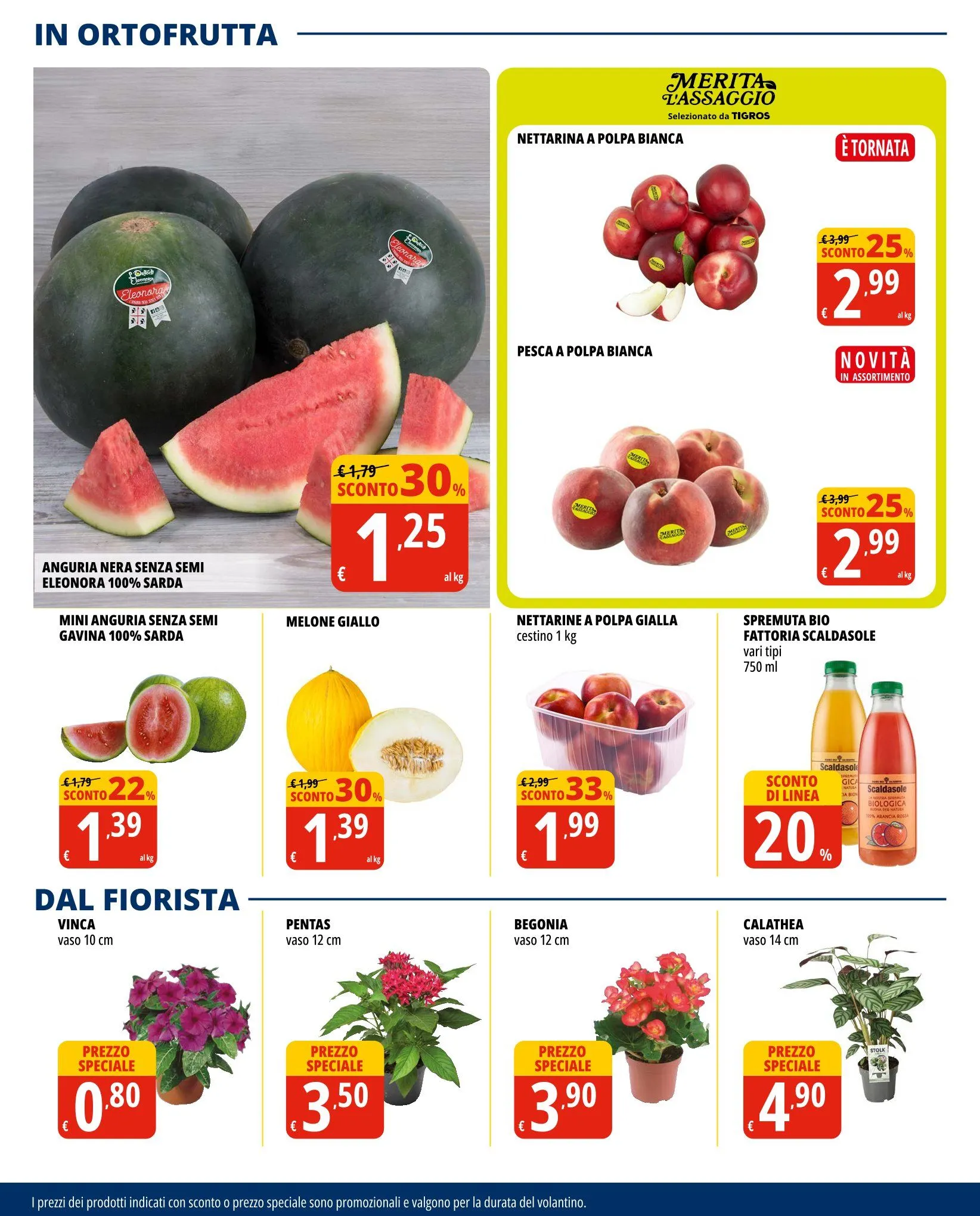 Volantini Tigros da 1 luglio a 14 luglio di 2025 - Pagina del volantino 12