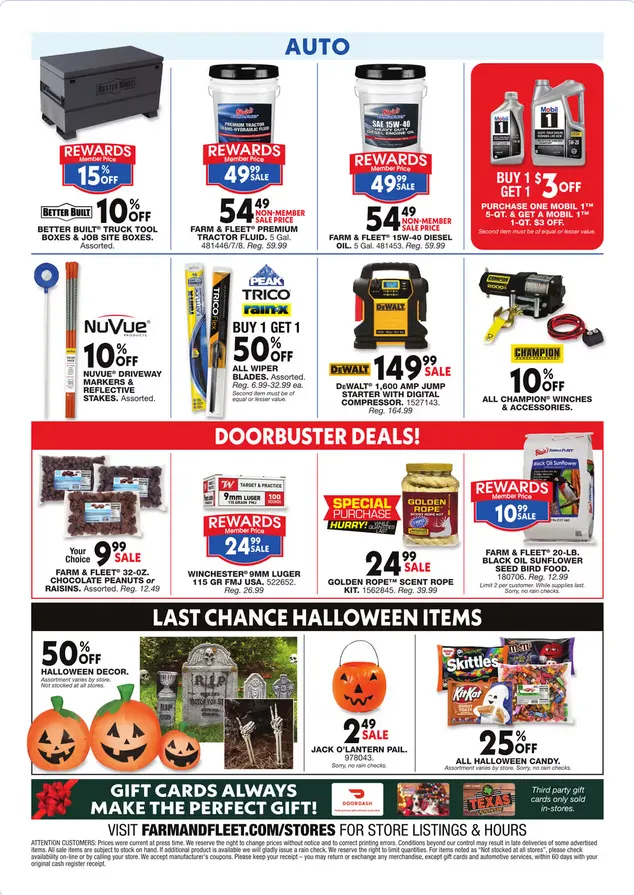 Weekly ad Blain's Farm & Fleet Sales from October 23 to November 2 2025 - Page 12
