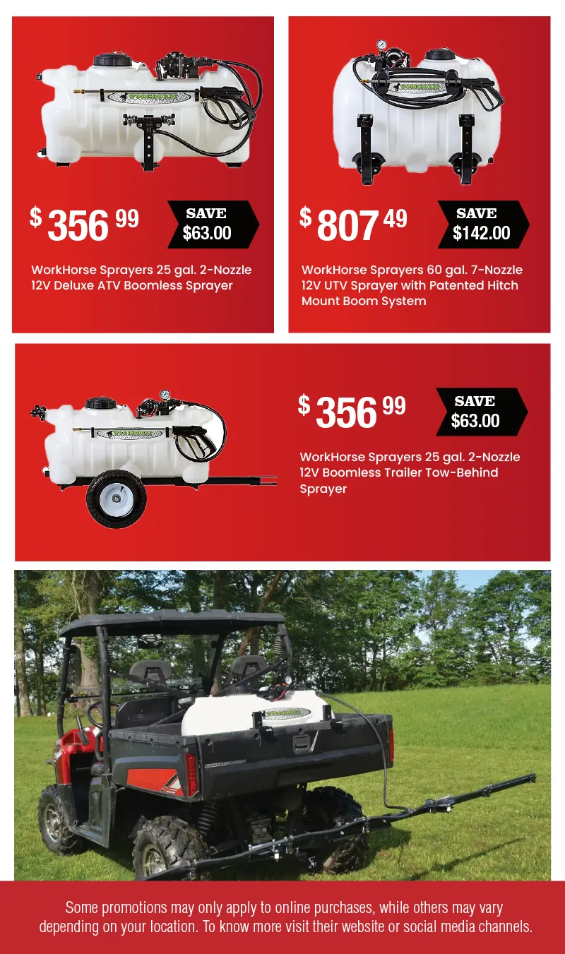 Weekly ad Weekly ads from June 5 to June 30 2025 - Page 11