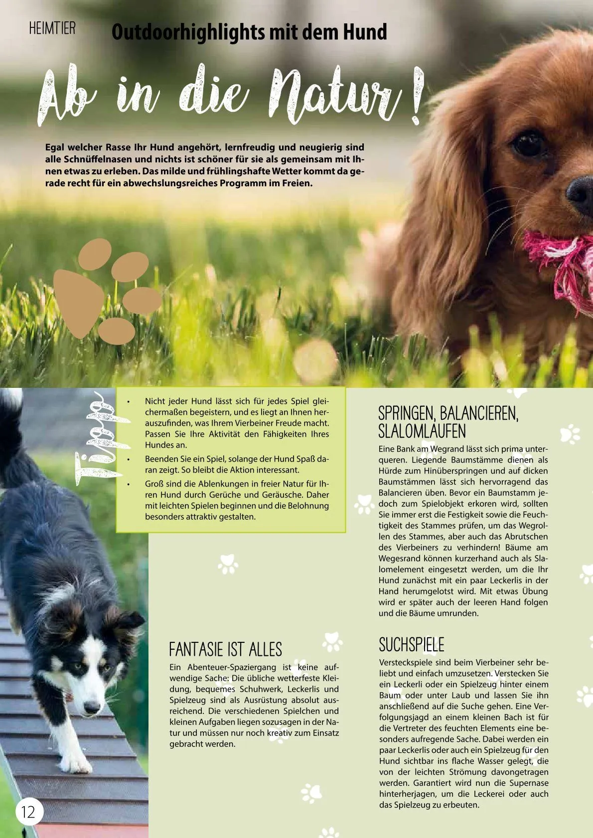 Kiebitzmarkt Magazine von 21. Februar bis 15. Februar 2025 - Prospekt seite 12