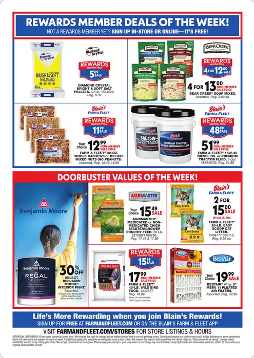 Weekly ad Blain's Farm & Fleet Sales from February 26 to March 11 2026 - Page 12