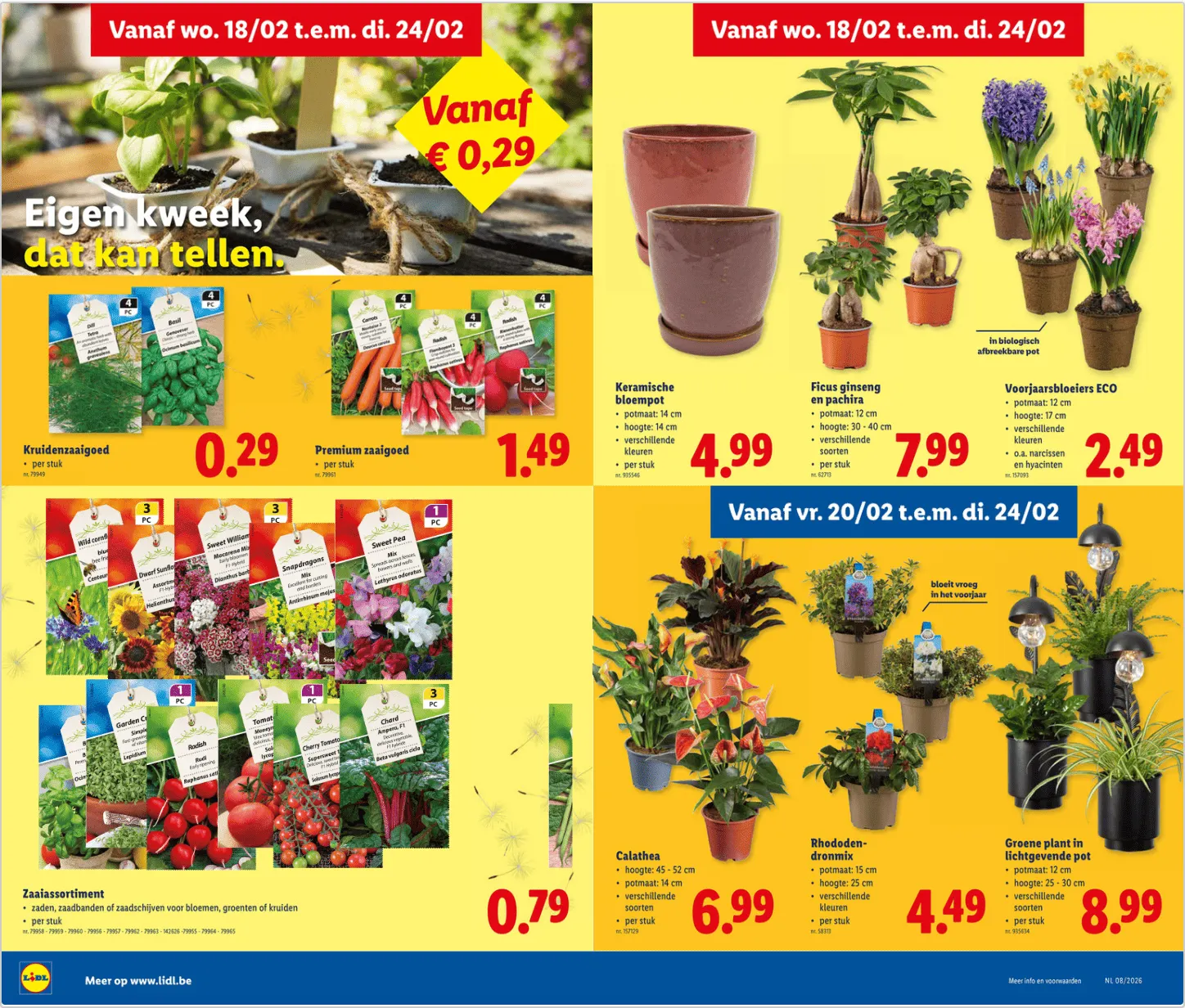 Folder van 18 februari tot 24 februari 2026 - folder pagina 11