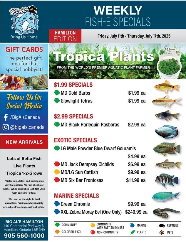 Big Al's Pets Sales from July 11 to July 17 2025 - flyer page 
