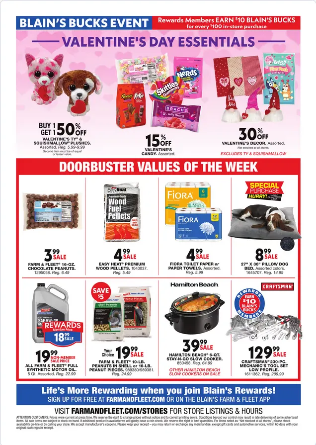 Weekly ad Blain's Farm & Fleet Sales from January 29 to February 11 2026 - Page 12