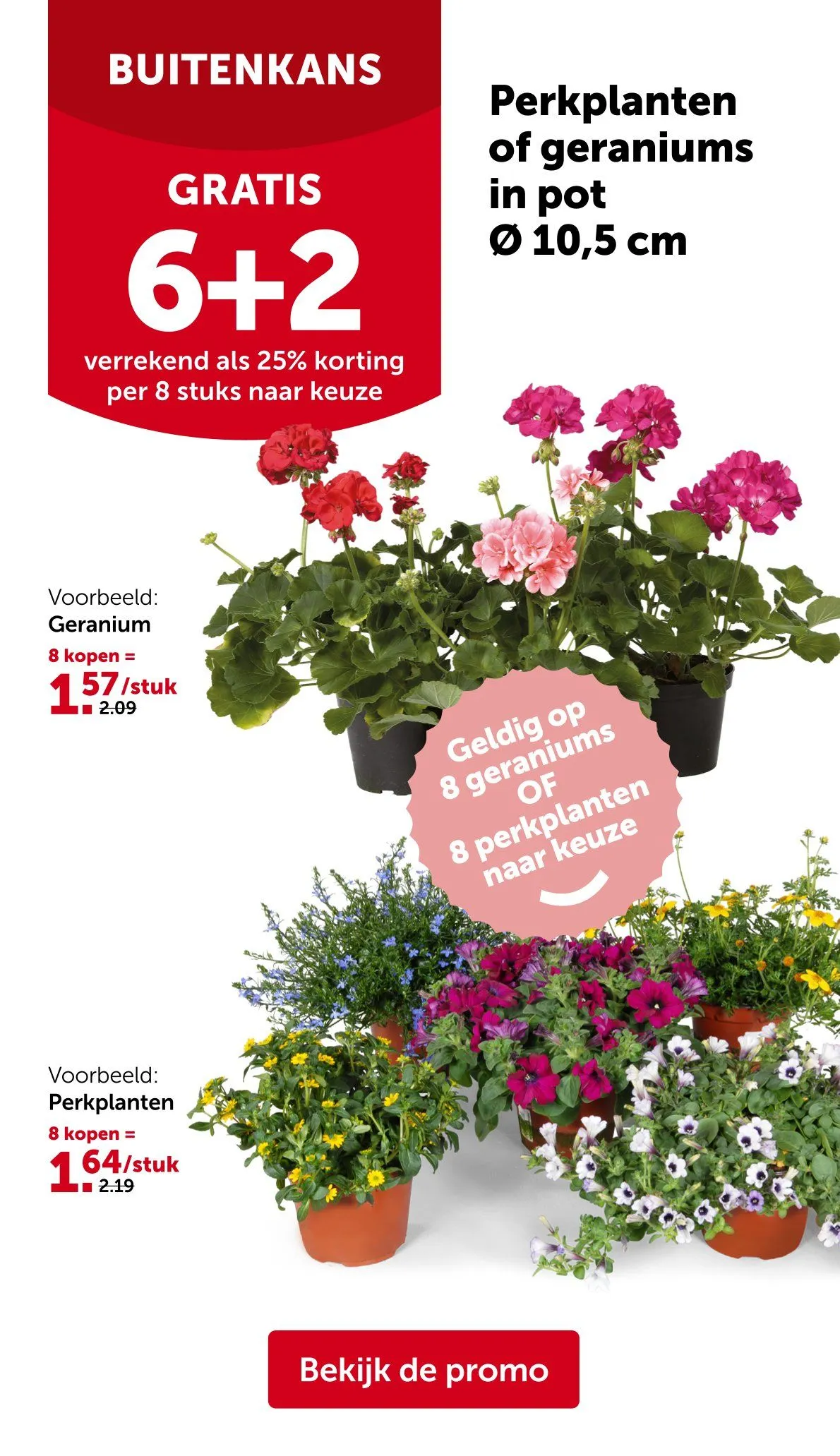 AVEVE Folder van 21 april tot 3 mei 2026 - folder pagina 12