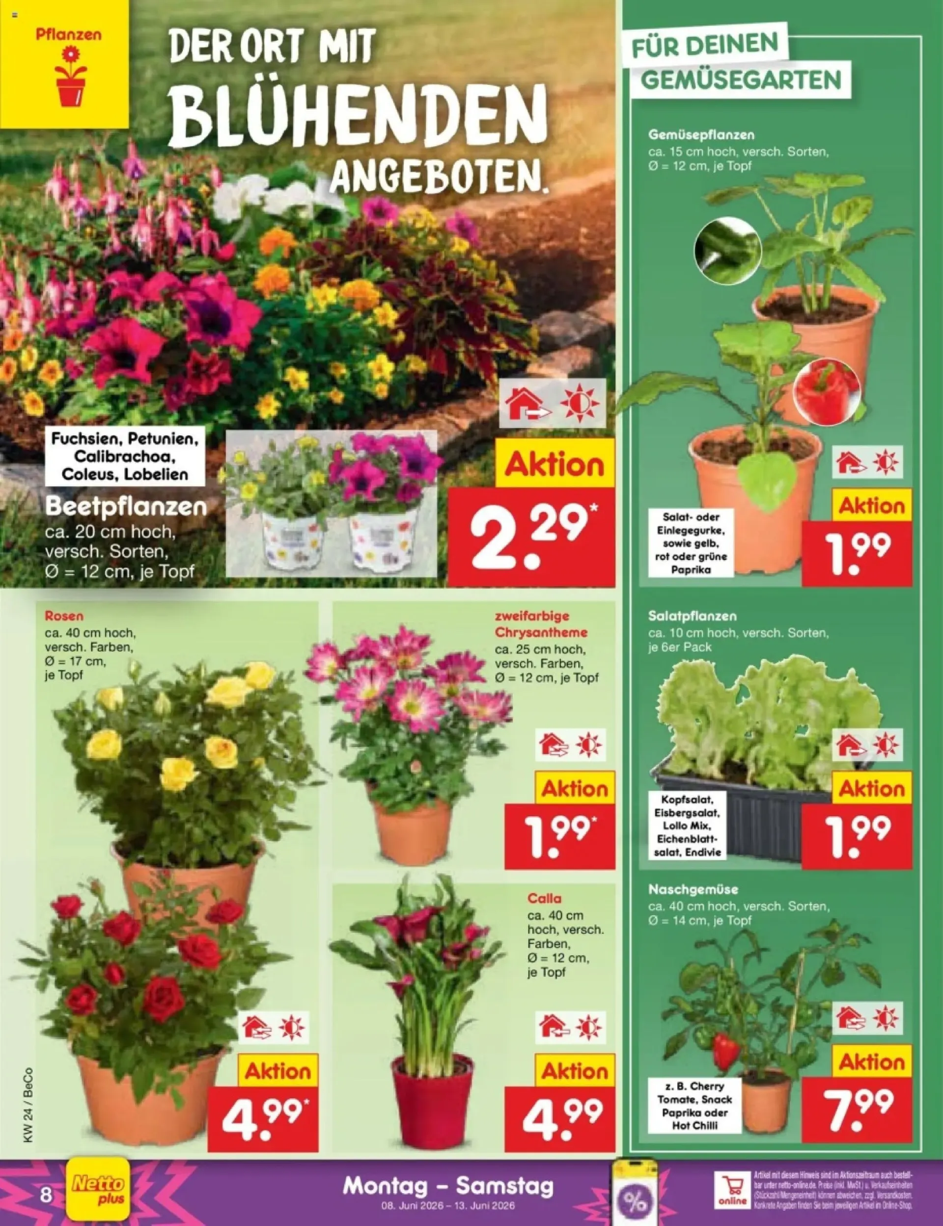Netto Marken-Discount folders van 8 juni tot 13 juni 2026 - Folder pagina 12