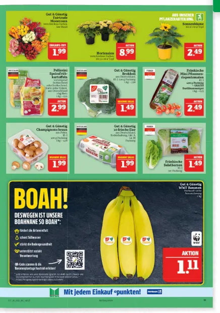 Aktueller Prospekt von MARKTKAUF von 22. Juni bis 28. Juni 2025 - Prospekt seite 11