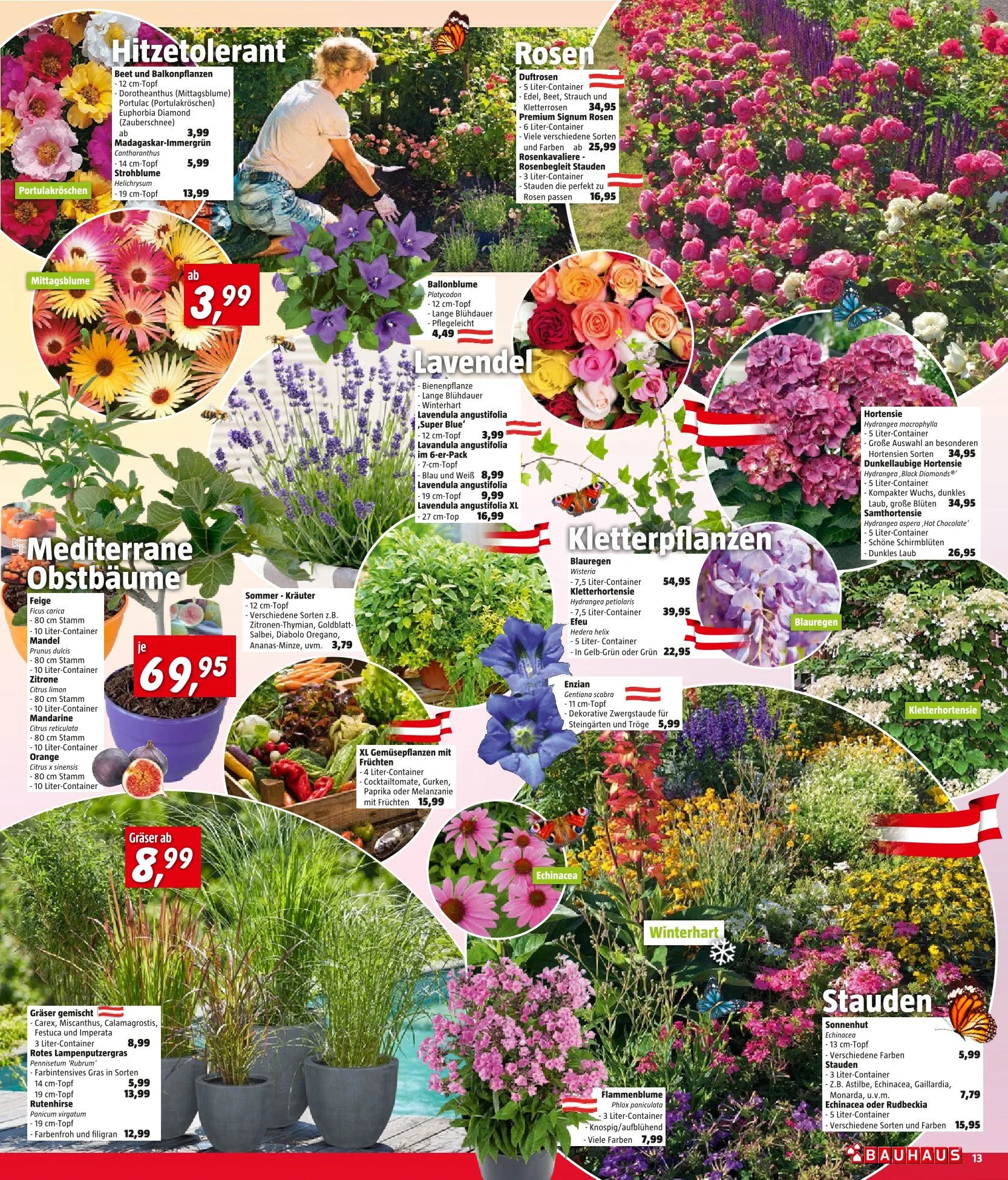 Bauhaus Deals von 30. Juni bis 14. Juli 2026 - Flugblätt seite  13