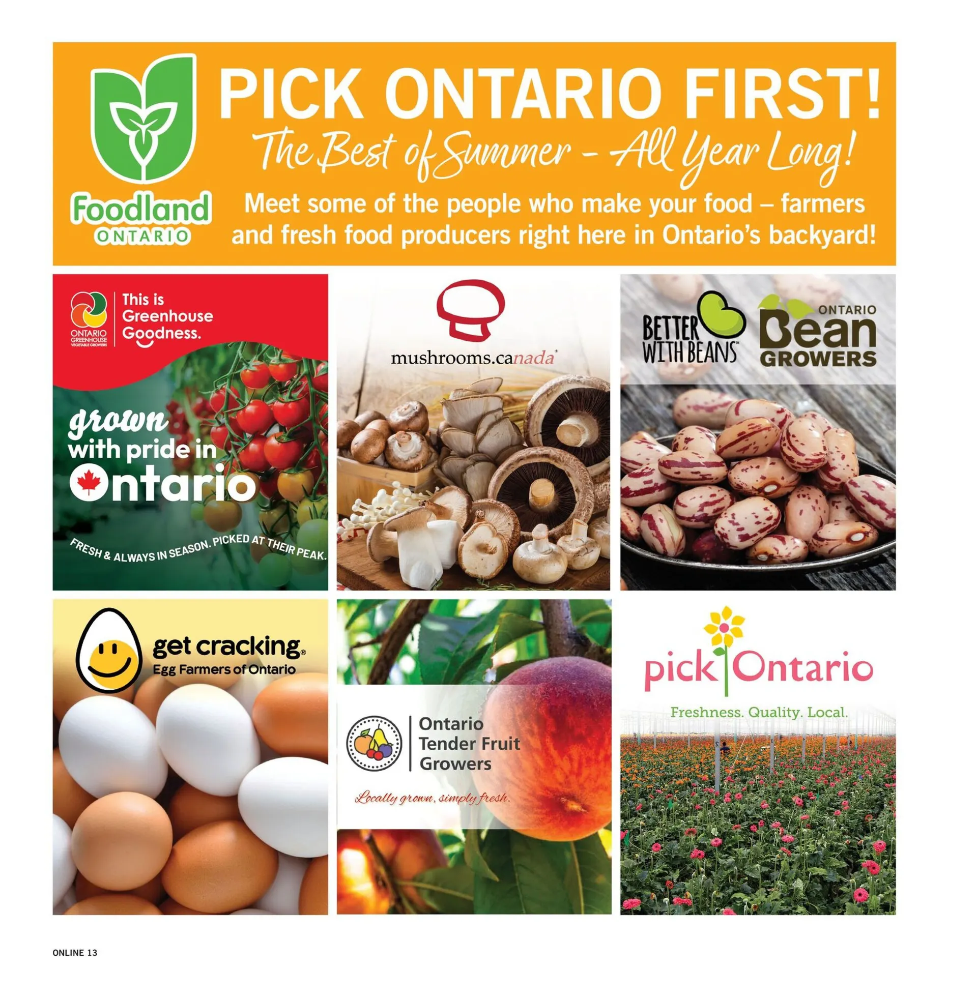 Fortinos Sales from July 31 to August 6 2025 - flyer page 13