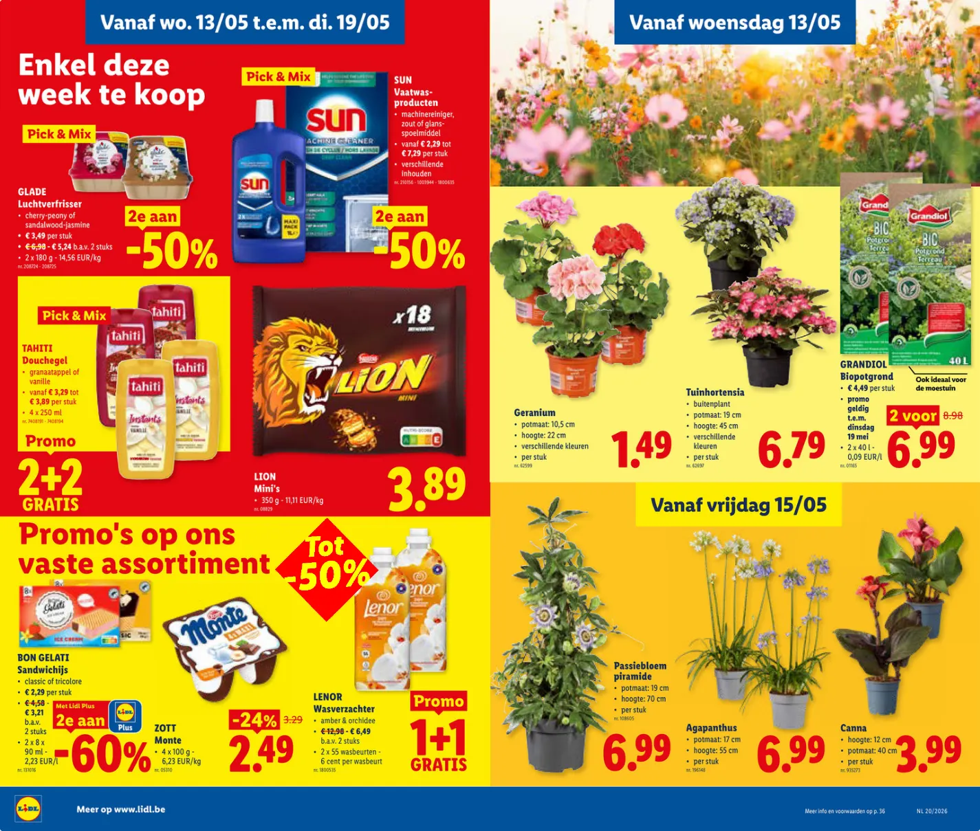 Lidl Folder van 11 mei tot 16 mei 2026 - folder pagina 13
