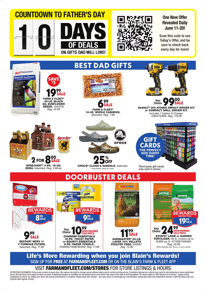 Weekly ad Blain's Farm & Fleet Sales from June 11 to June 21 2026 - Page 13
