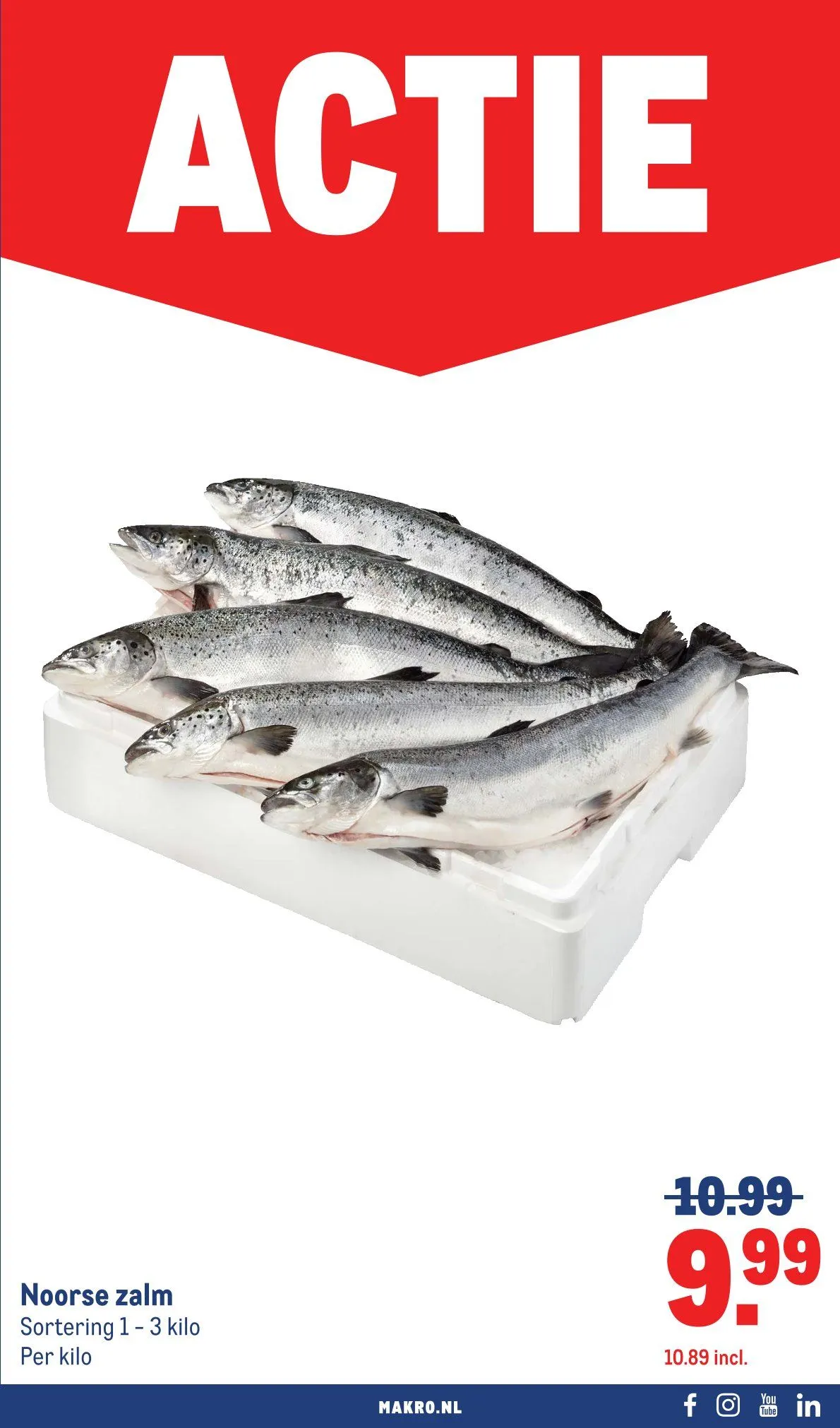 Makro Folders van 2 juni tot 23 juni 2026 - Folder pagina 13