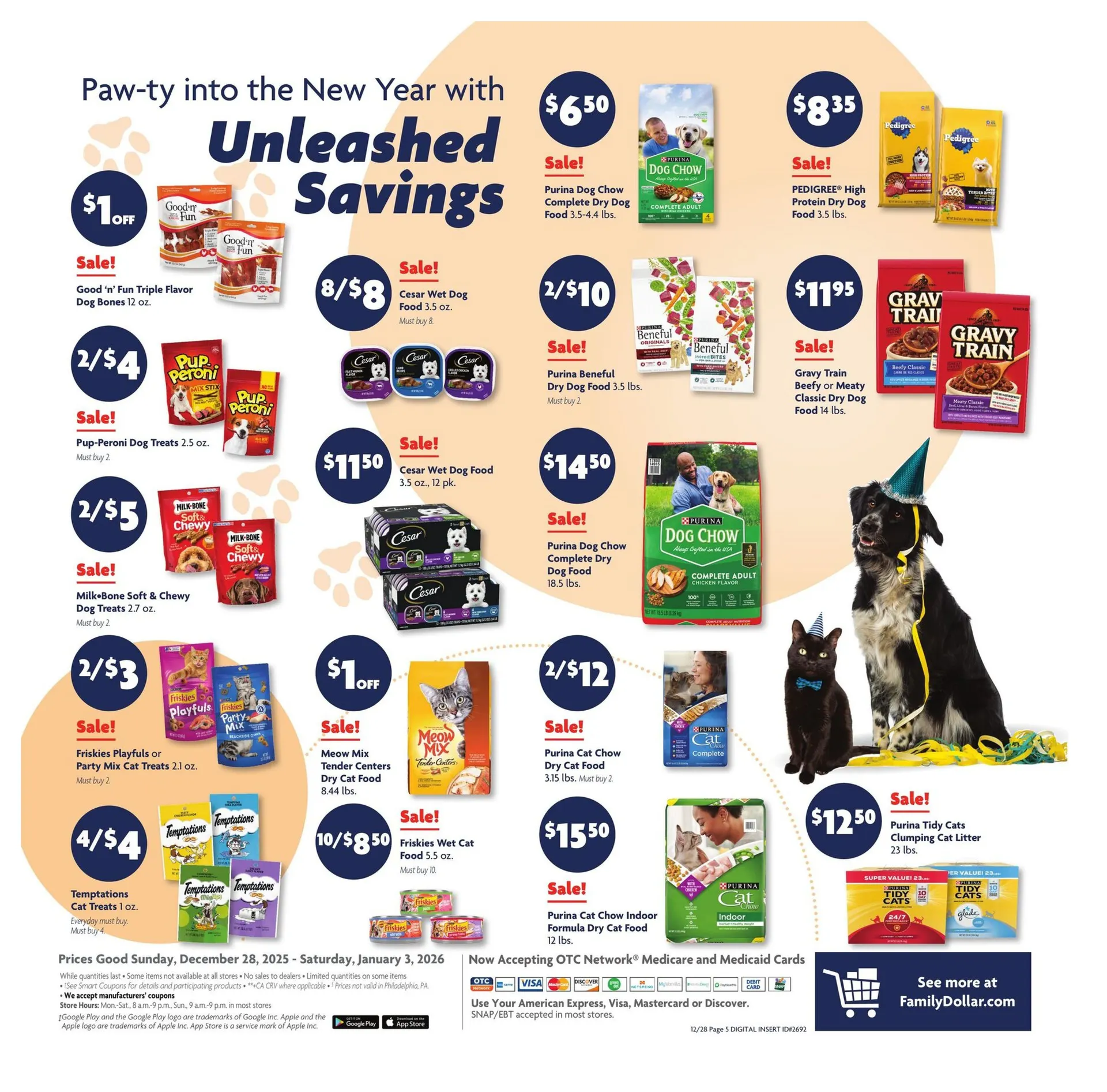 Weekly ad Family Dollar Sales from December 28 to January 3 2026 - Page 13