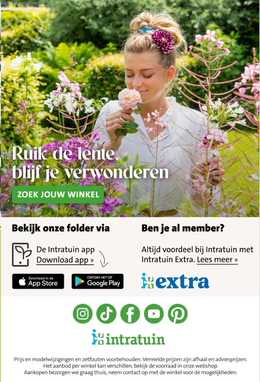 Intratuin folders van 25 mei tot 31 mei 2026 - Folder pagina 13
