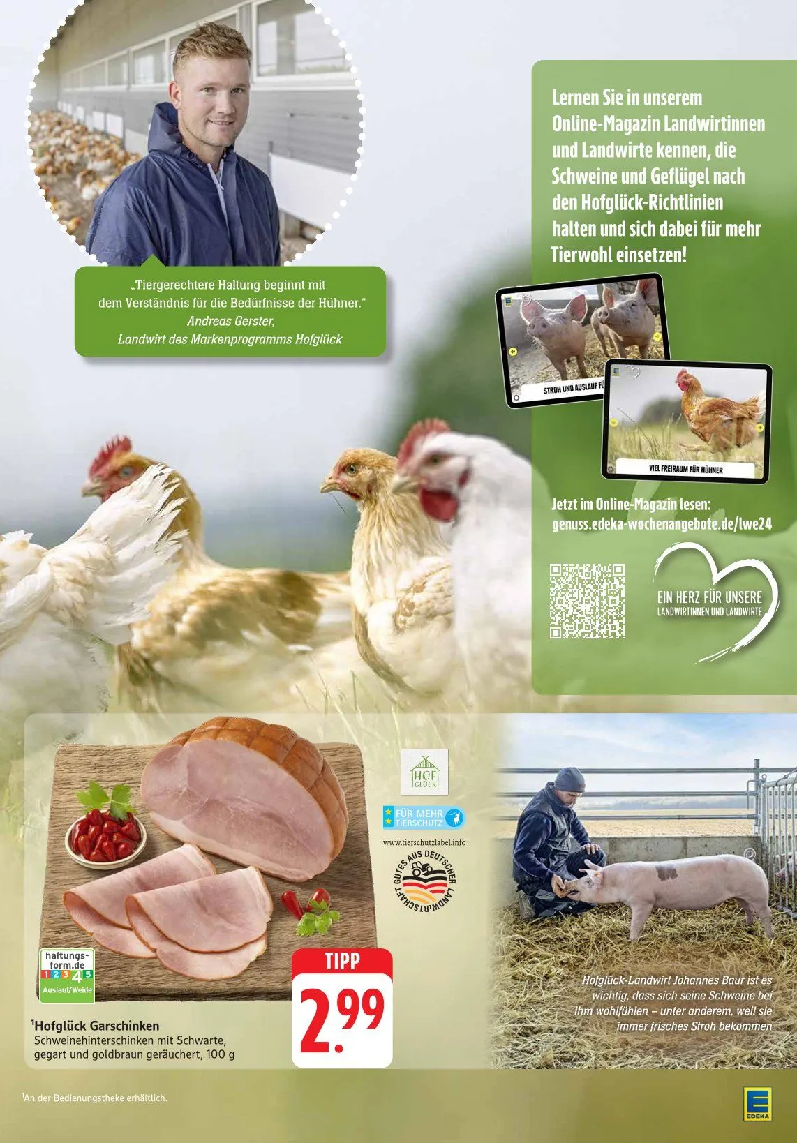 Edeka Prospekt von 31. März bis 5. April 2025 - Prospekt seite 13