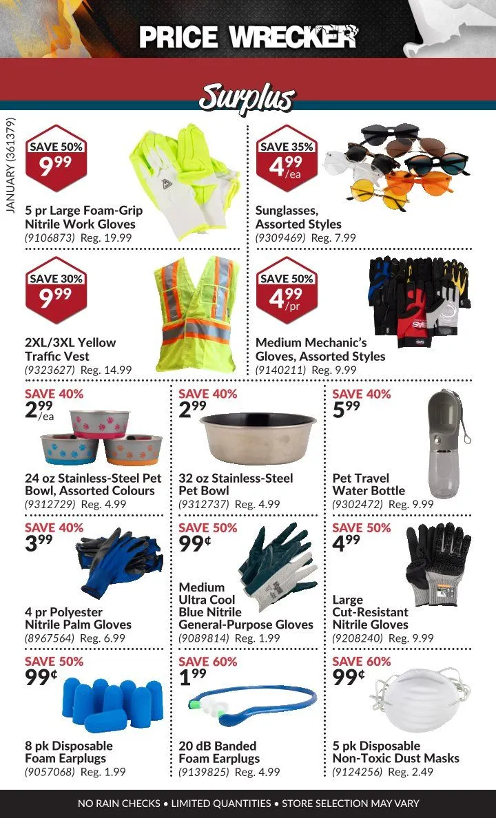 Princess Auto Sales from February 1 to January 31 2025 - flyer page 13