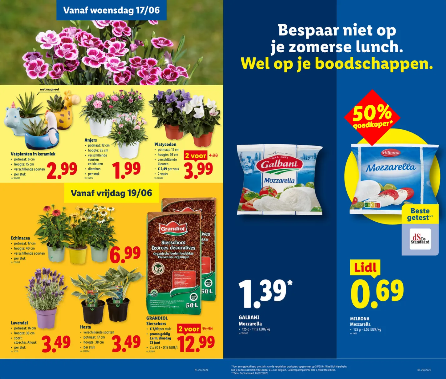 Lidl Folder van 17 juni tot 20 juni 2026 - Folder pagina 13