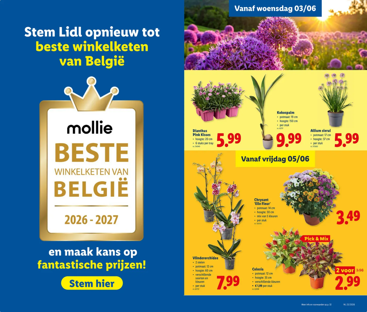 Lidl Folder van 1 juni tot 6 juni 2026 - folder pagina 13