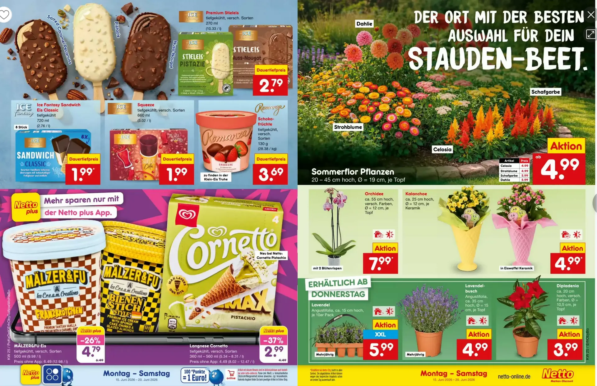 Netto Marken-Discount Folder van 16 juni tot 20 juni 2026 - Folder pagina 13