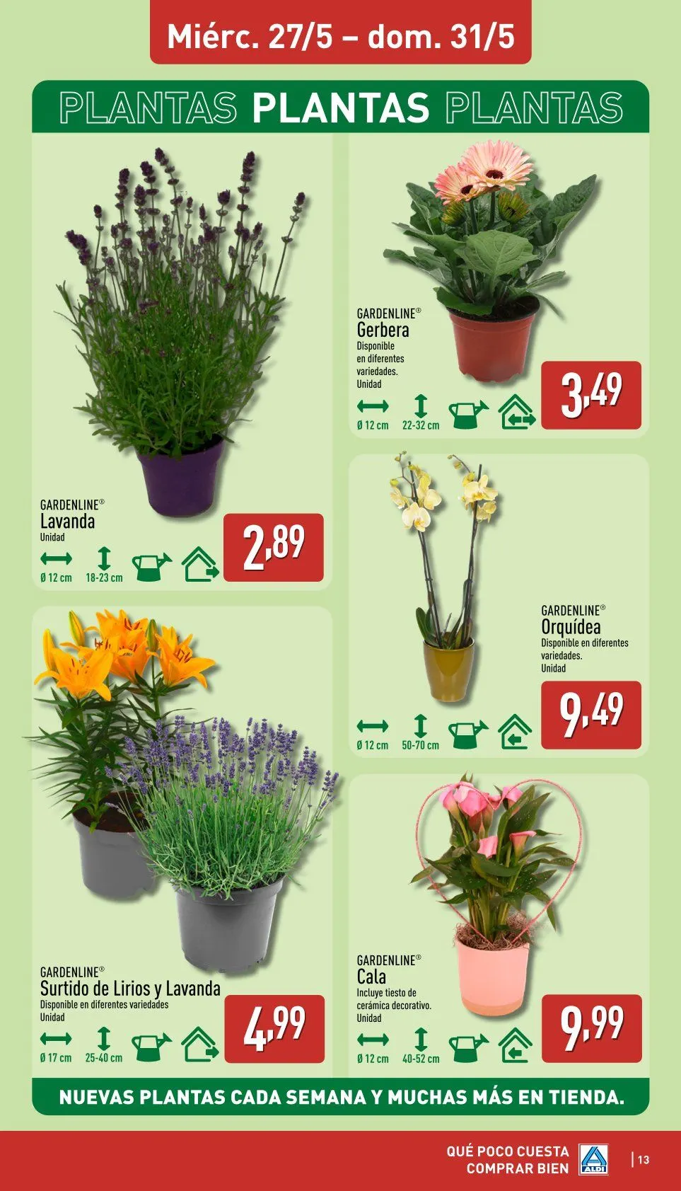 Catálogo de Ofertas de Aldi 25 de mayo al 31 de mayo 2026 - Página 13