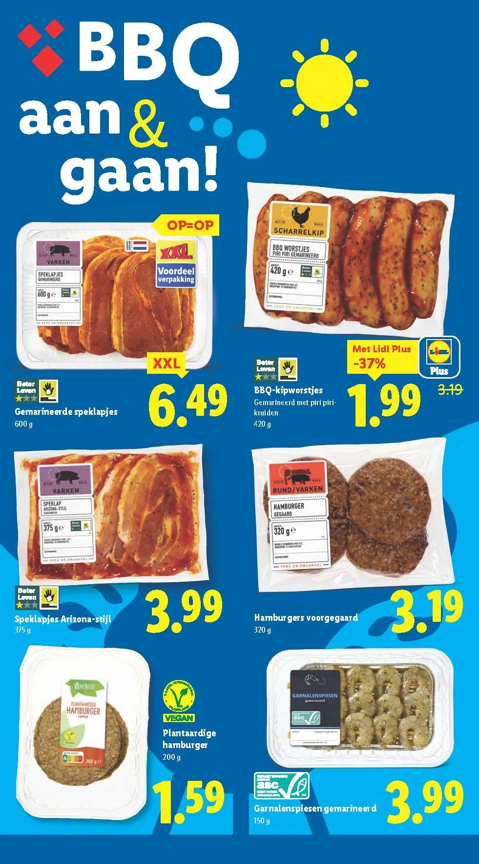 Lidl folders van 10 juni tot 15 juni 2025 - Folder pagina 13