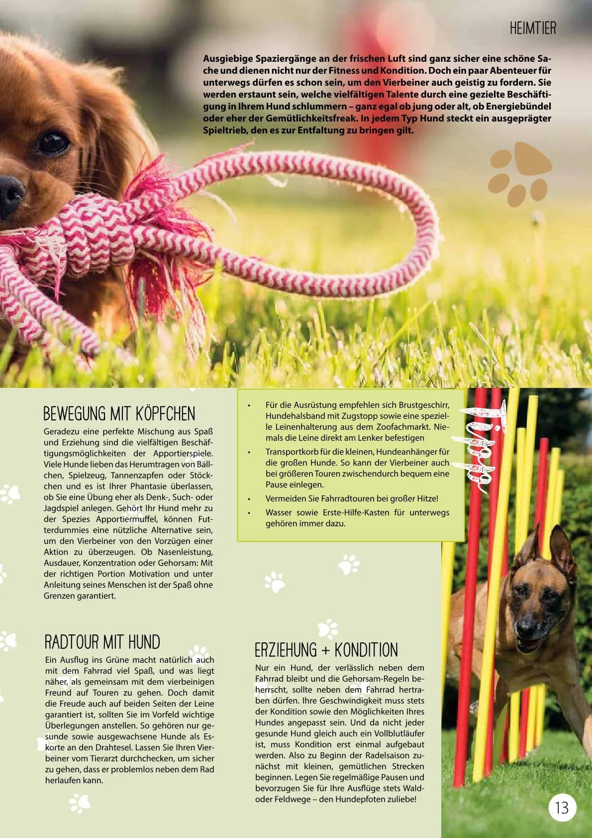 Kiebitzmarkt Magazine von 21. Februar bis 15. Februar 2025 - Prospekt seite 13