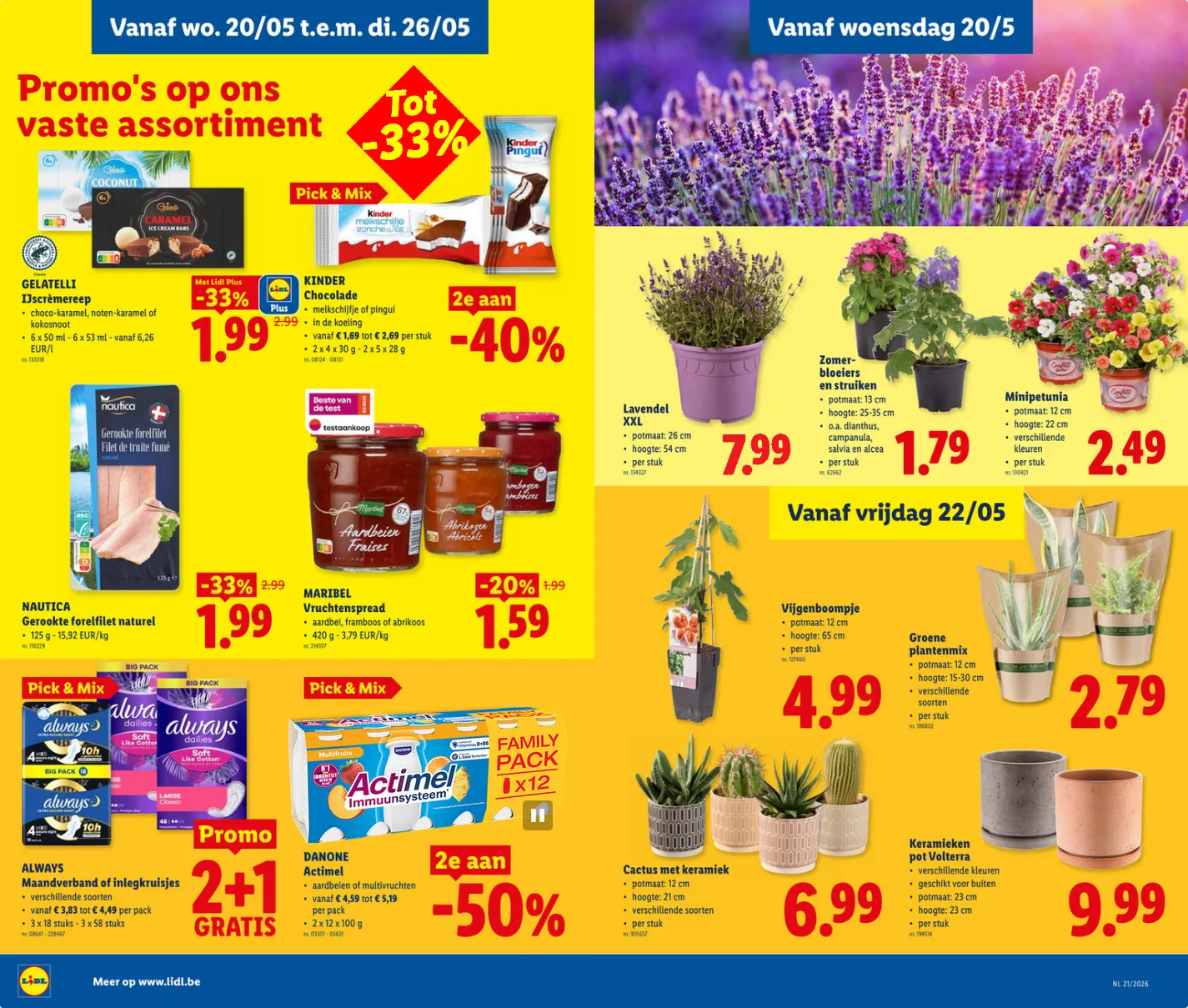 Lidl Folder van 20 mei tot 26 mei 2026 - folder pagina 13