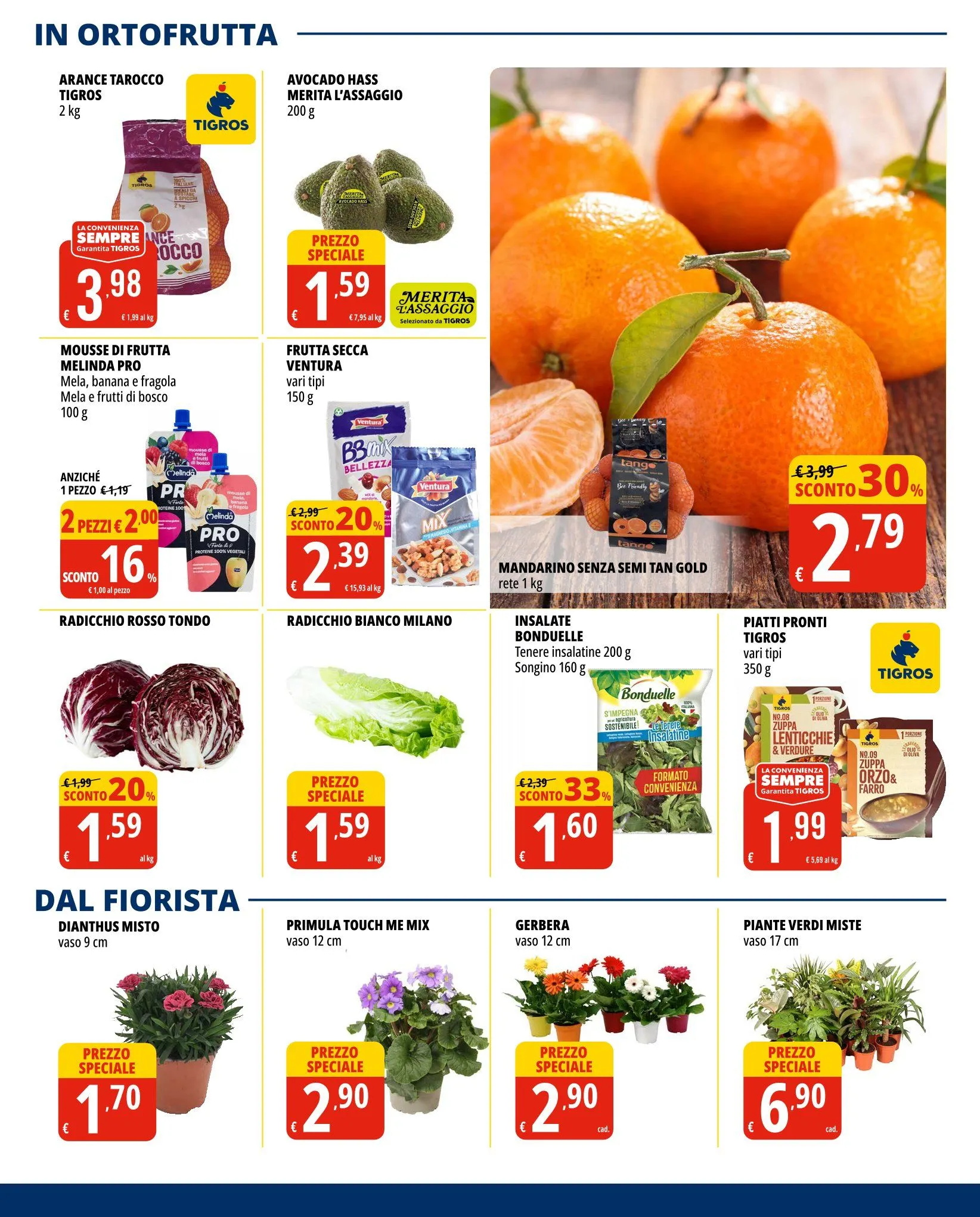 Tigros Volantino da 28 gennaio a 10 febbraio di 2026 - Pagina del volantino 13