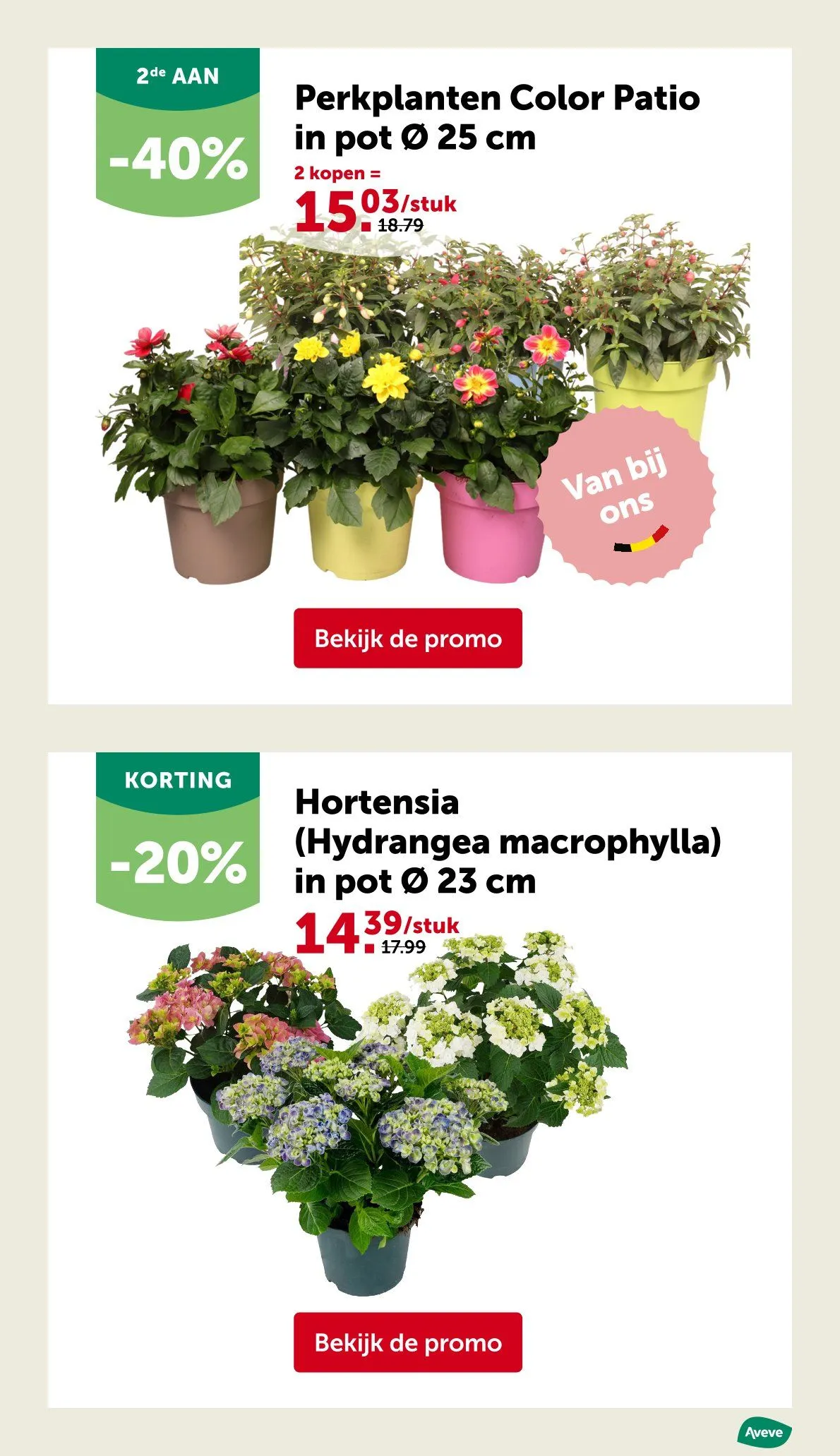 AVEVE Folder van 21 april tot 3 mei 2026 - folder pagina 13