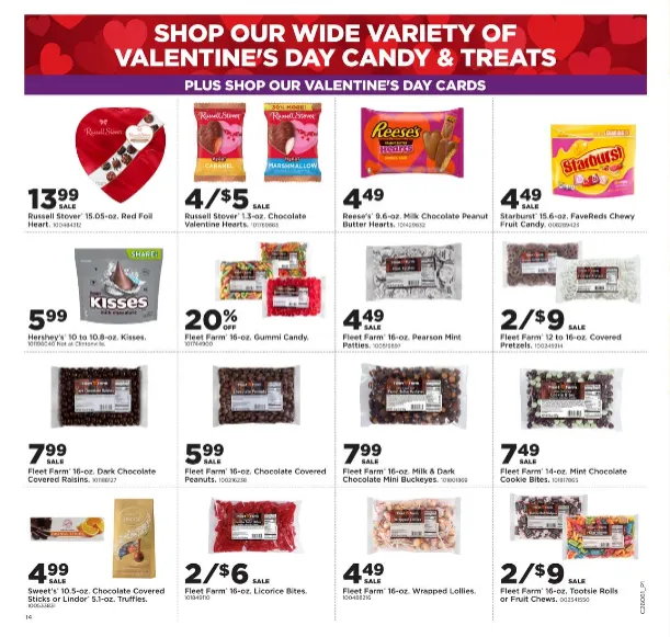 Weekly ad Fleet Farm Sales from February 2 to February 8 2026 - Page 14