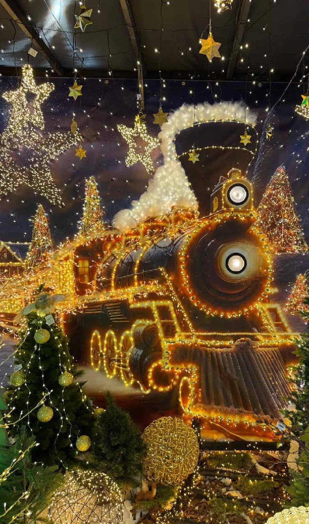 Pflanzen-Kölle Angebote von 11. November bis 25. Dezember 2025 - Prospekt seite 14