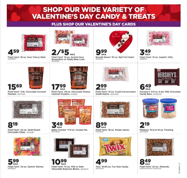 Weekly ad Fleet Farm Sales from January 26 to February 1 2026 - Page 14