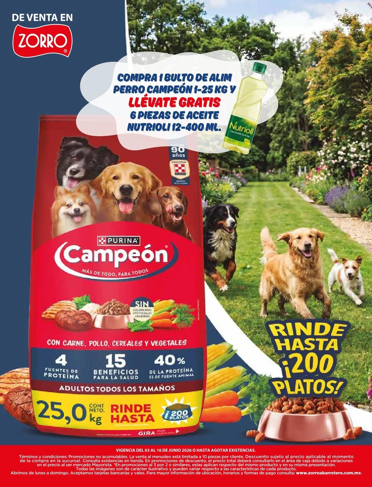 Catálogo de  Zorro Ofertas  16 de junio al 17 de junio 2026 - Pagina 14