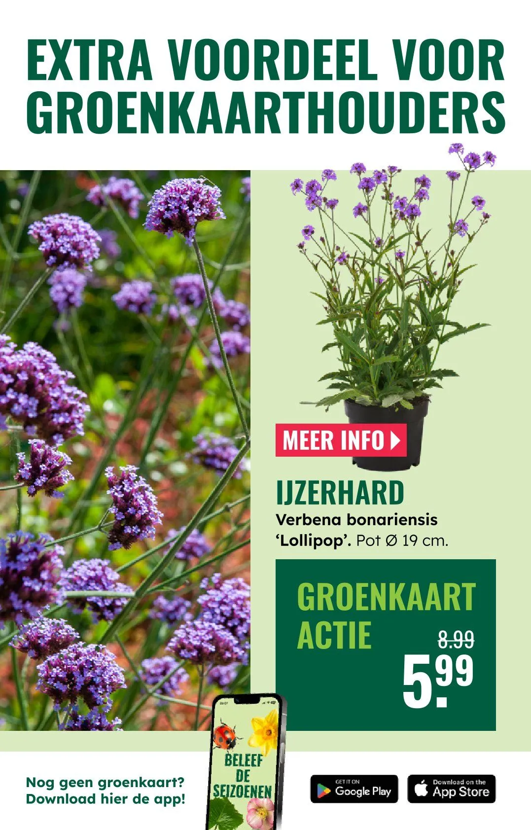 GroenRijk folders van 18 juni tot 24 juni 2026 - Folder pagina 14