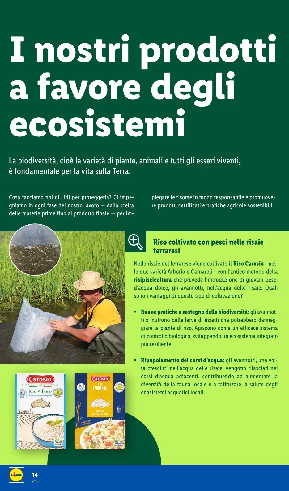Volantini Lidl da 1 giugno a 6 giugno di 2026 - Pagina del volantino 14