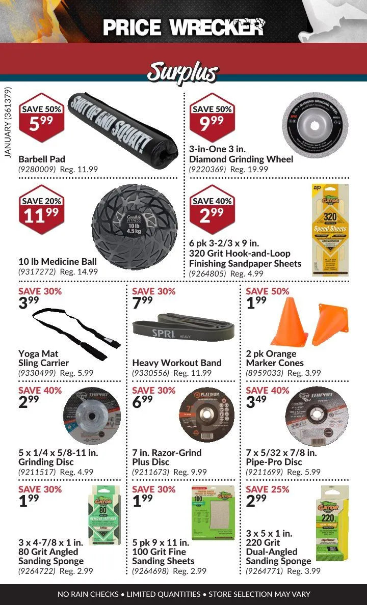 Princess Auto Sales from February 1 to January 31 2025 - flyer page 14