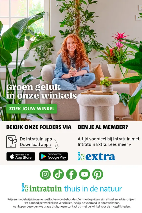 Intratuin Aanbiedingen van 8 januari tot 12 januari 2025 - Folder pagina 13