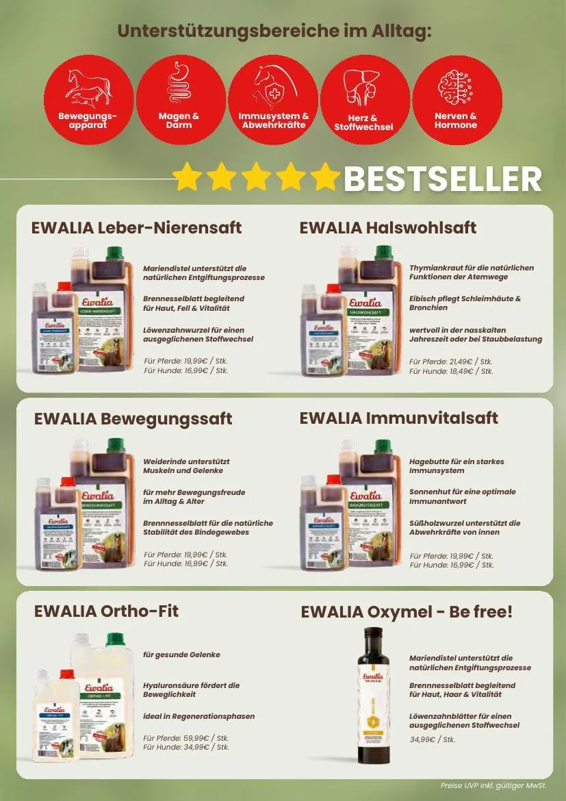 KIEBITZMARKT Angebote von 15. Mai bis 21. Mai 2026 - Prospekt seite 146