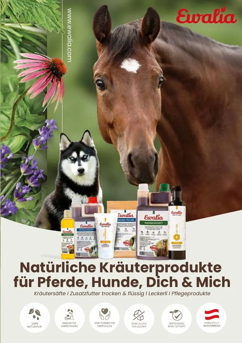 KIEBITZMARKT Angebote von 15. Mai bis 21. Mai 2026 - Prospekt seite 147