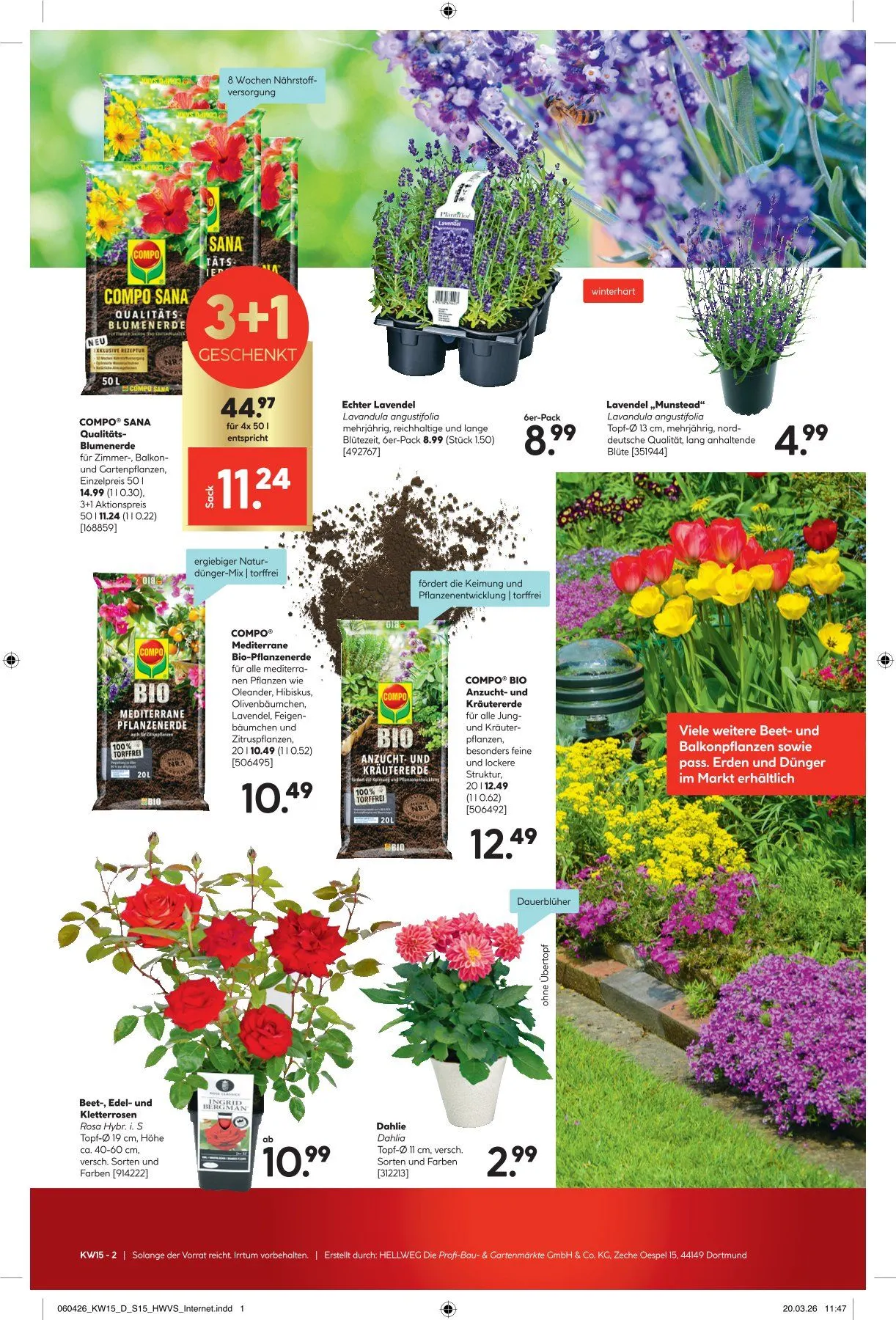 Hellweg Angebote von 7. April bis 11. April 2026 - Prospekt seite 15