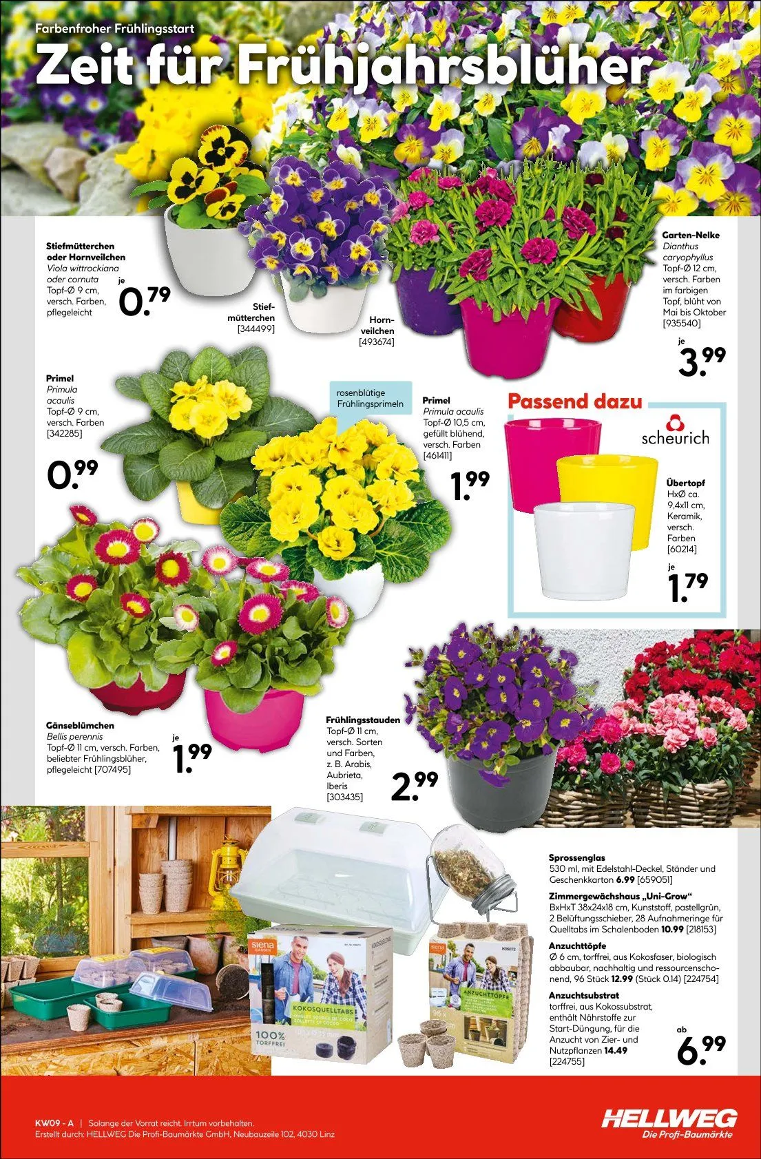 Hellweg Prospekte von 26. Februar bis 4. März 2026 - Prospekt seite 15