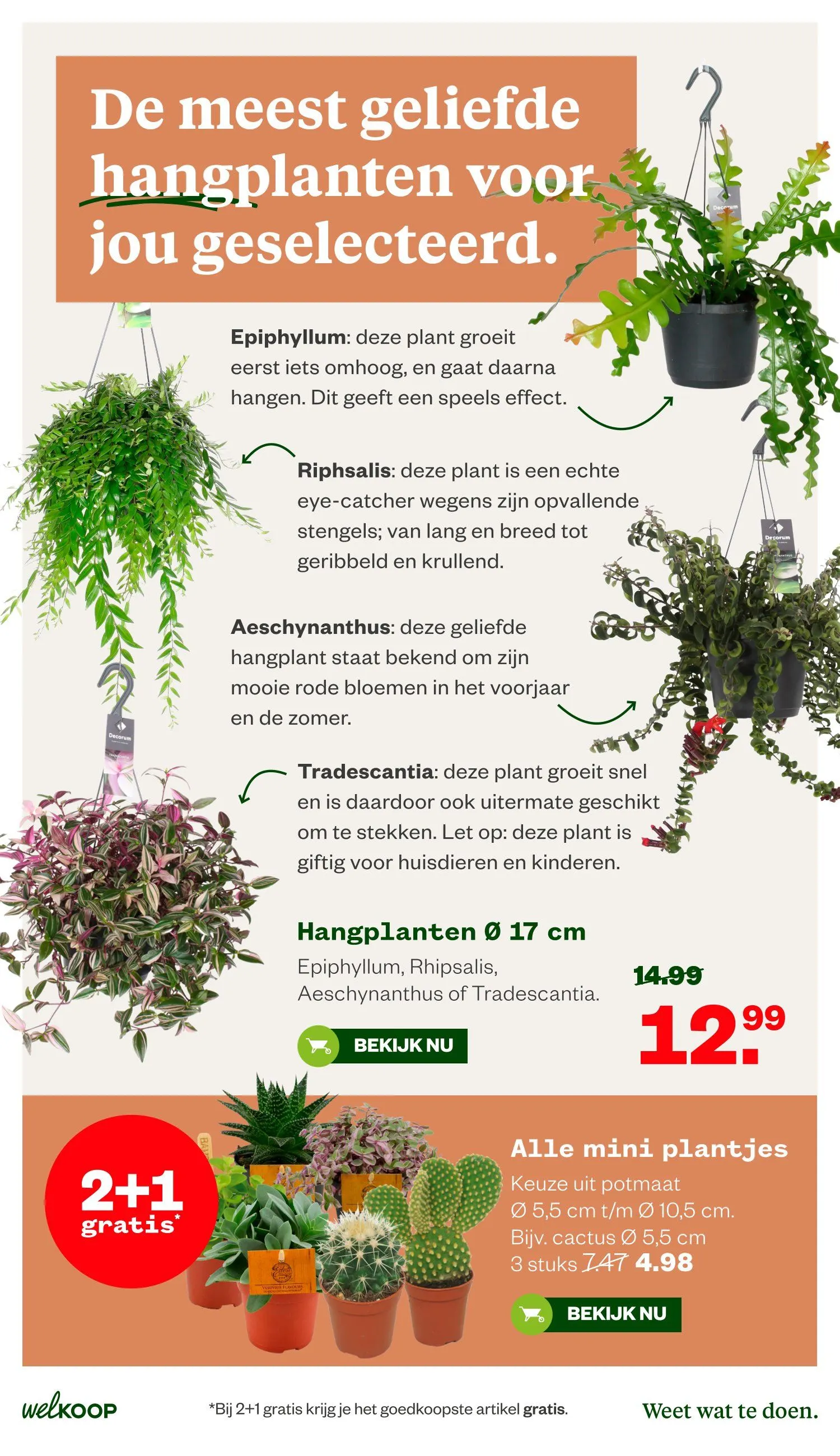 Welkoop foldersfolders van 6 juli tot 19 juli 2026 - Folder pagina 15