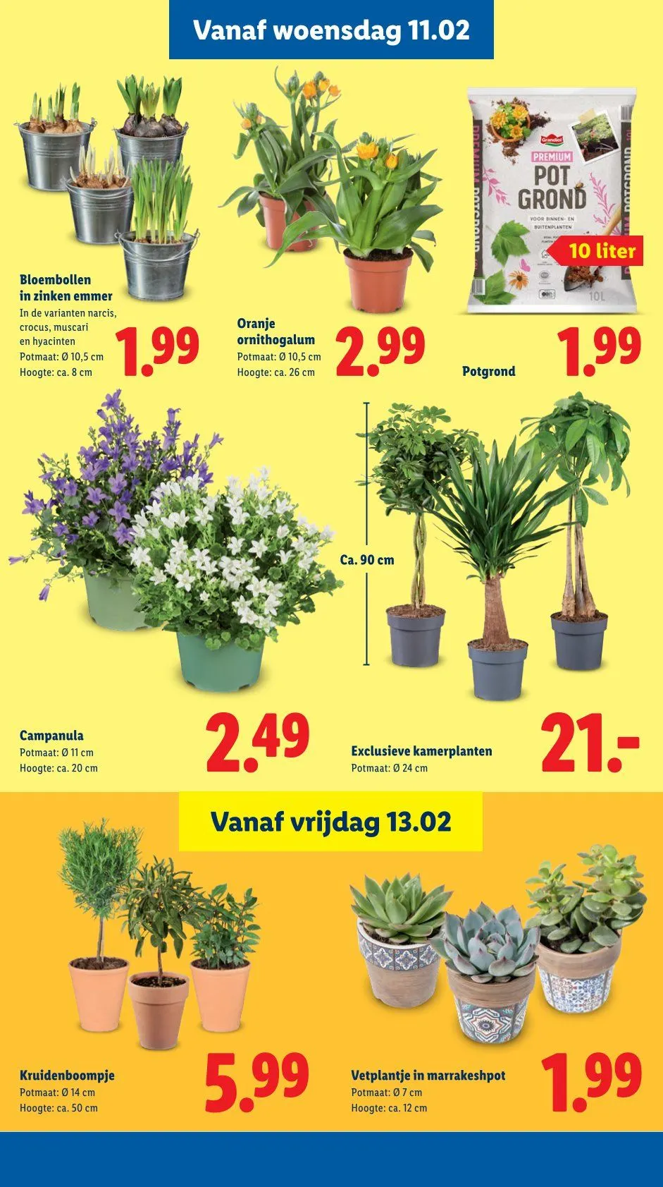Lidl Folder van 9 februari tot 15 februari 2026 - folder pagina 15