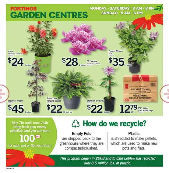 Fortinos Sales from May 7 to May 13 2026 - flyer page 15