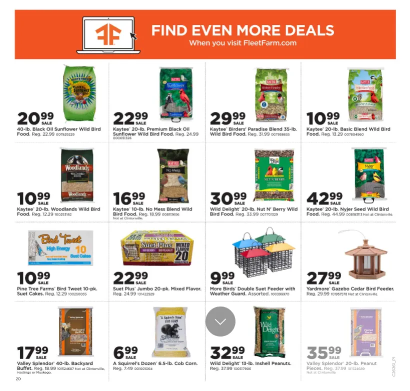 Weekly ad Fleet Farm Sales from June 22 to June 28 2026 - Page 15