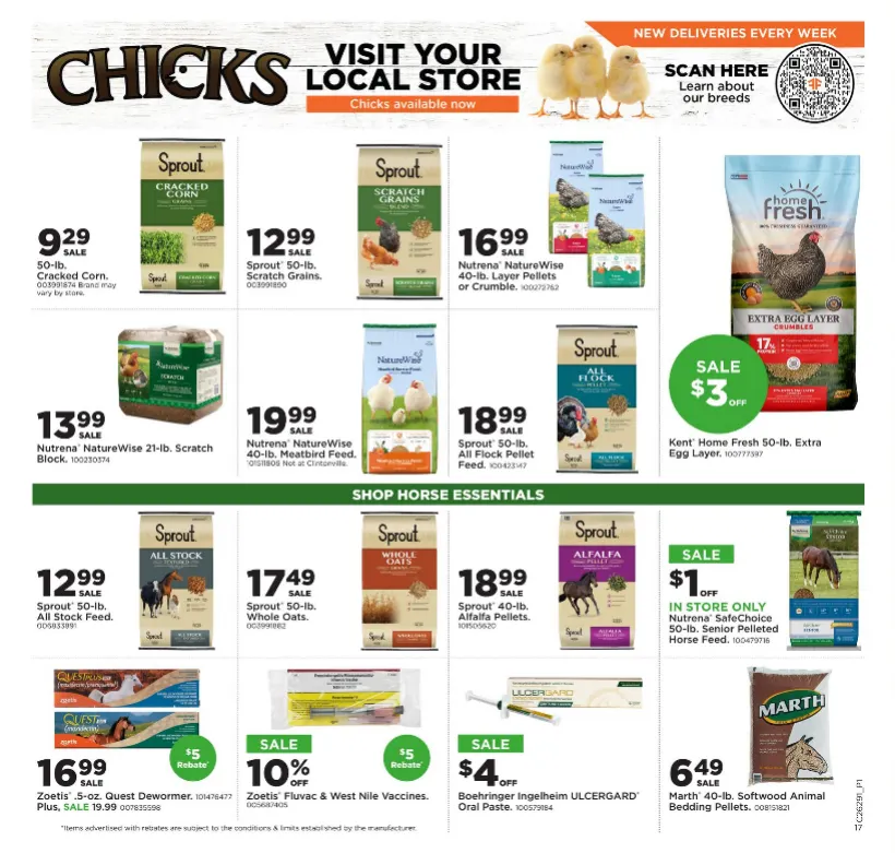 Weekly ad Fleet Farm Sales from July 13 to July 19 2026 - Page 15