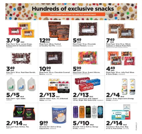 Weekly ad Fleet Farm Sales from January 12 to January 18 2026 - Page 15