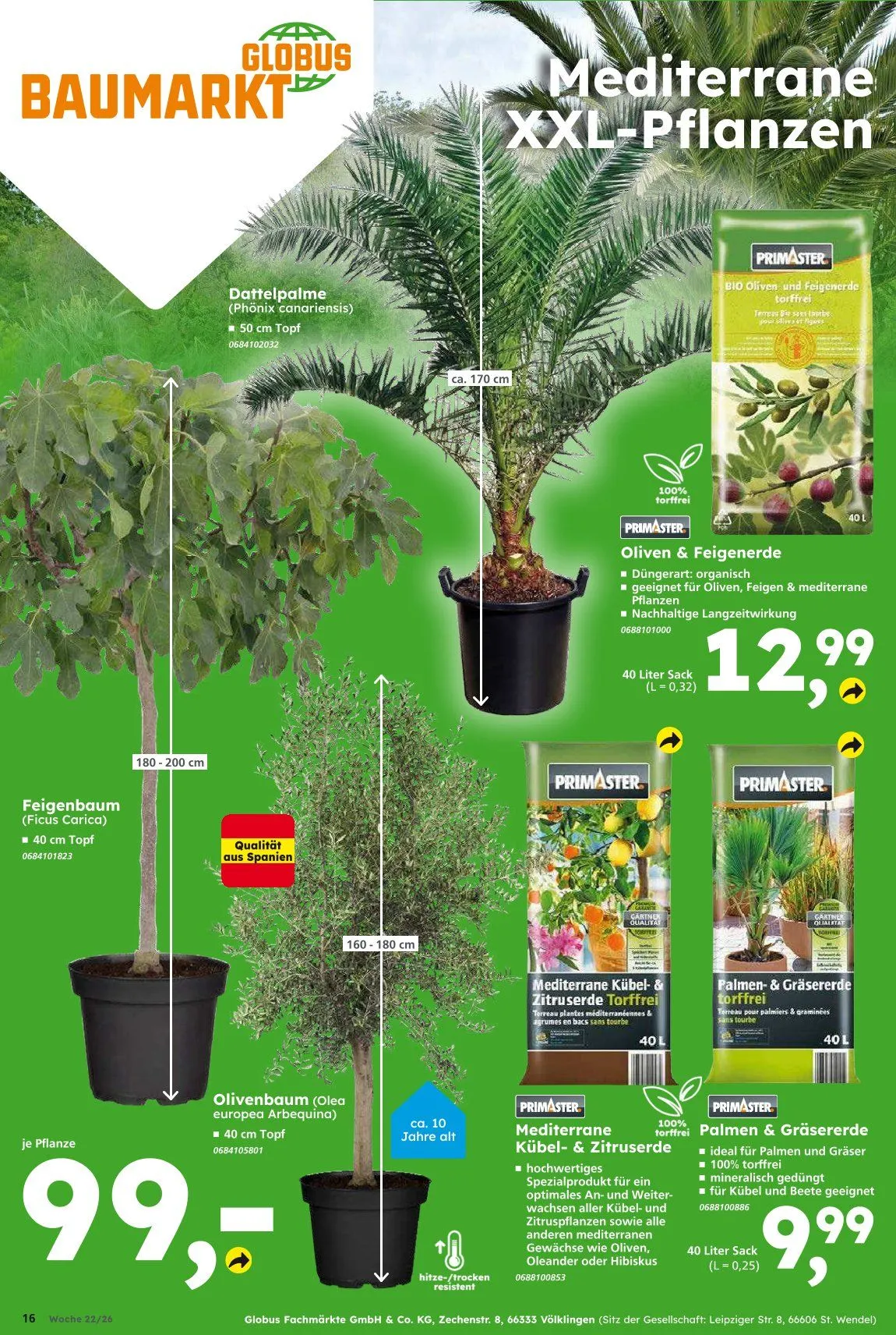 Globus Angebote von 22. Mai bis 30. Mai 2026 - Prospekt seite 16